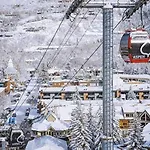New Listing 1 Bedroom Aspen Condo Near Gondola